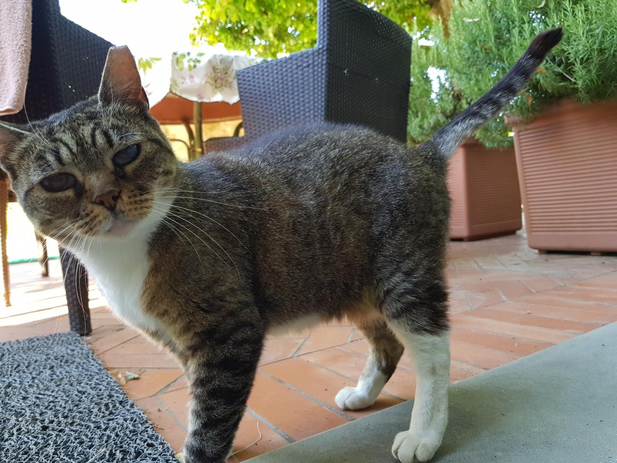 Al Melograno - Room & Breakfast — Foto 2